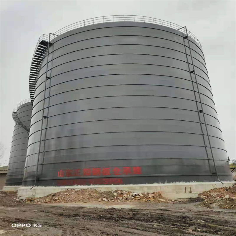 隆广镇3万吨大型钢板库