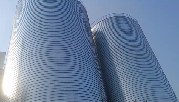 隆广镇2座混凝土高架卷板仓